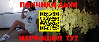 крисы Гагарин