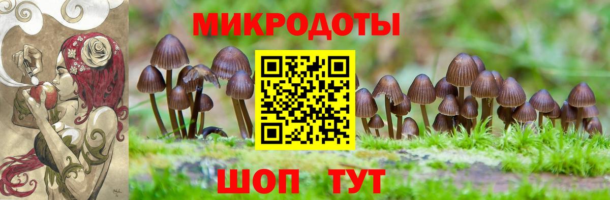 Галлюциногенные грибы Psilocybine cubensis  Галлюциногенные грибы GOLDEN TEACHER  где можно купить   Вход с VPN  Новоалександровск 